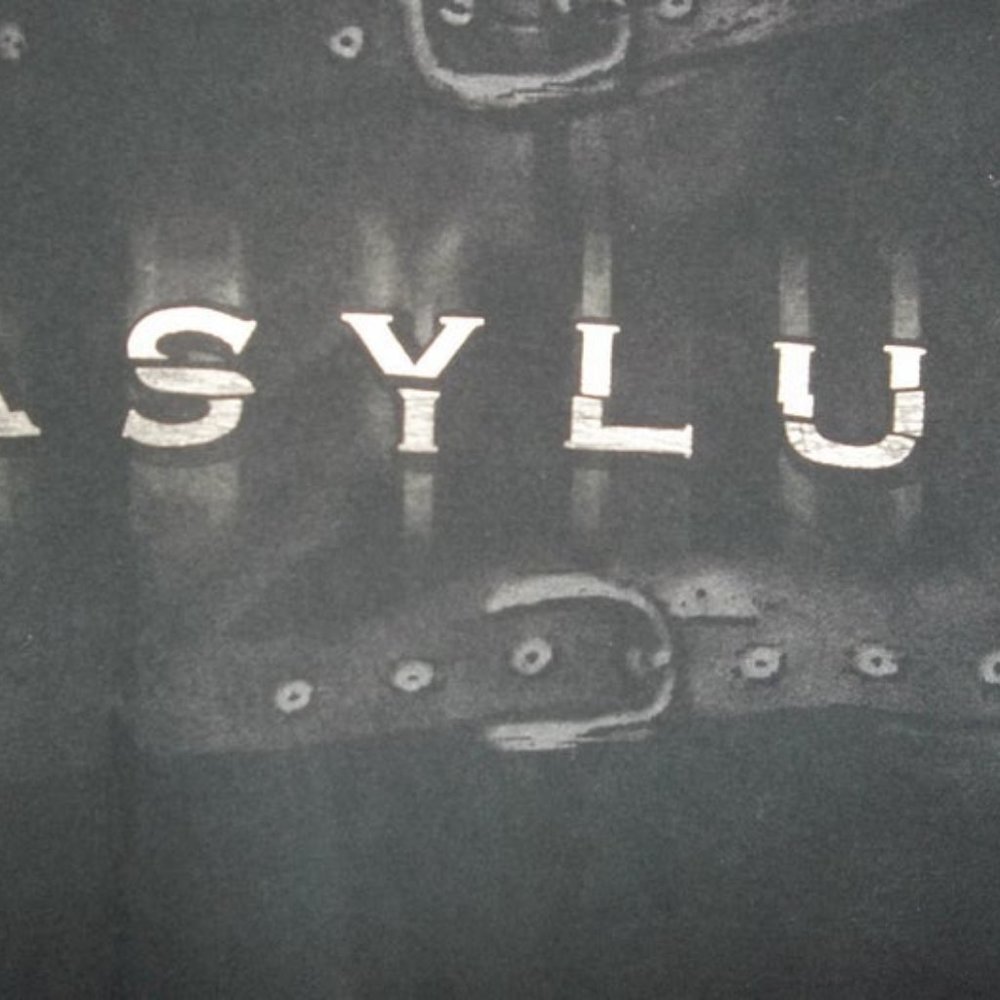 The Most Rare DISTURBED shirt ever made Asylum - Picture 5 of 5
